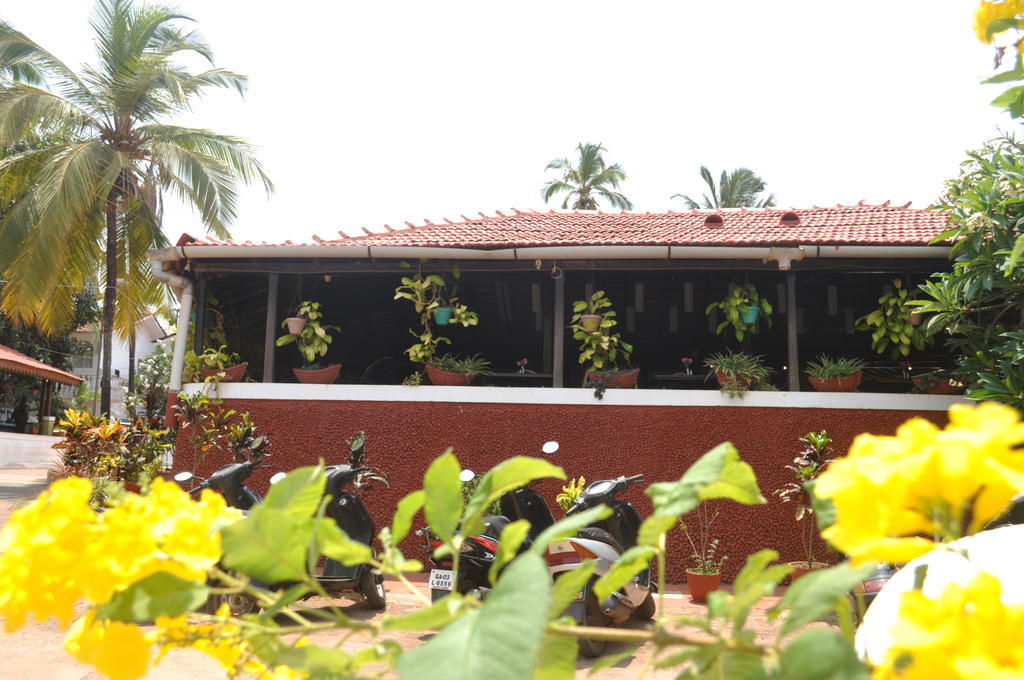 Colonia Santa Maria Hotel Baga Exterior photo